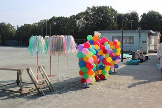 IMG_4597