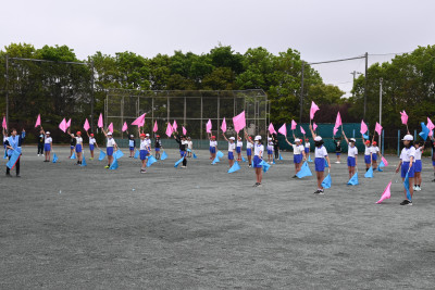 DSC_4531