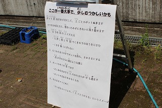 IMG_3368