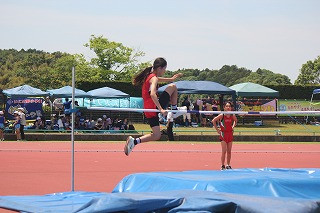 IMG_3495