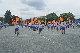 DSC00502