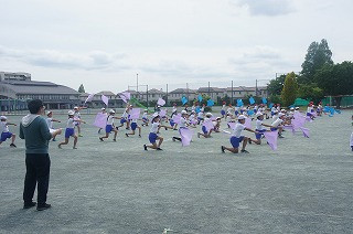 DSC00503