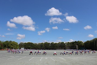 IMG_3894