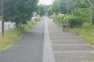 DSC00507
