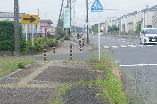 DSC00509