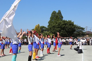 IMG_3923