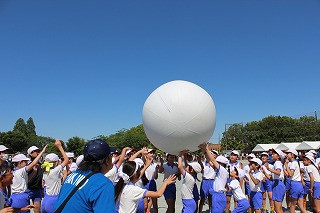 IMG_3952