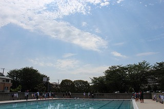 IMG_4155